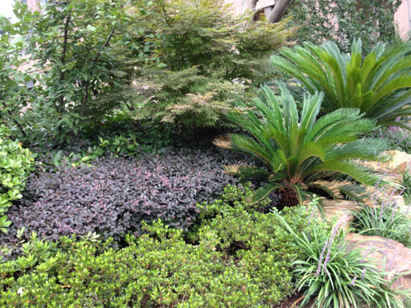 rg皇家视讯的愿景与理想