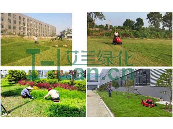 城市园林绿化的重点有哪些？